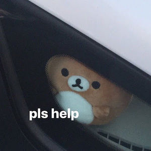 Meet your Posher, Meowzie